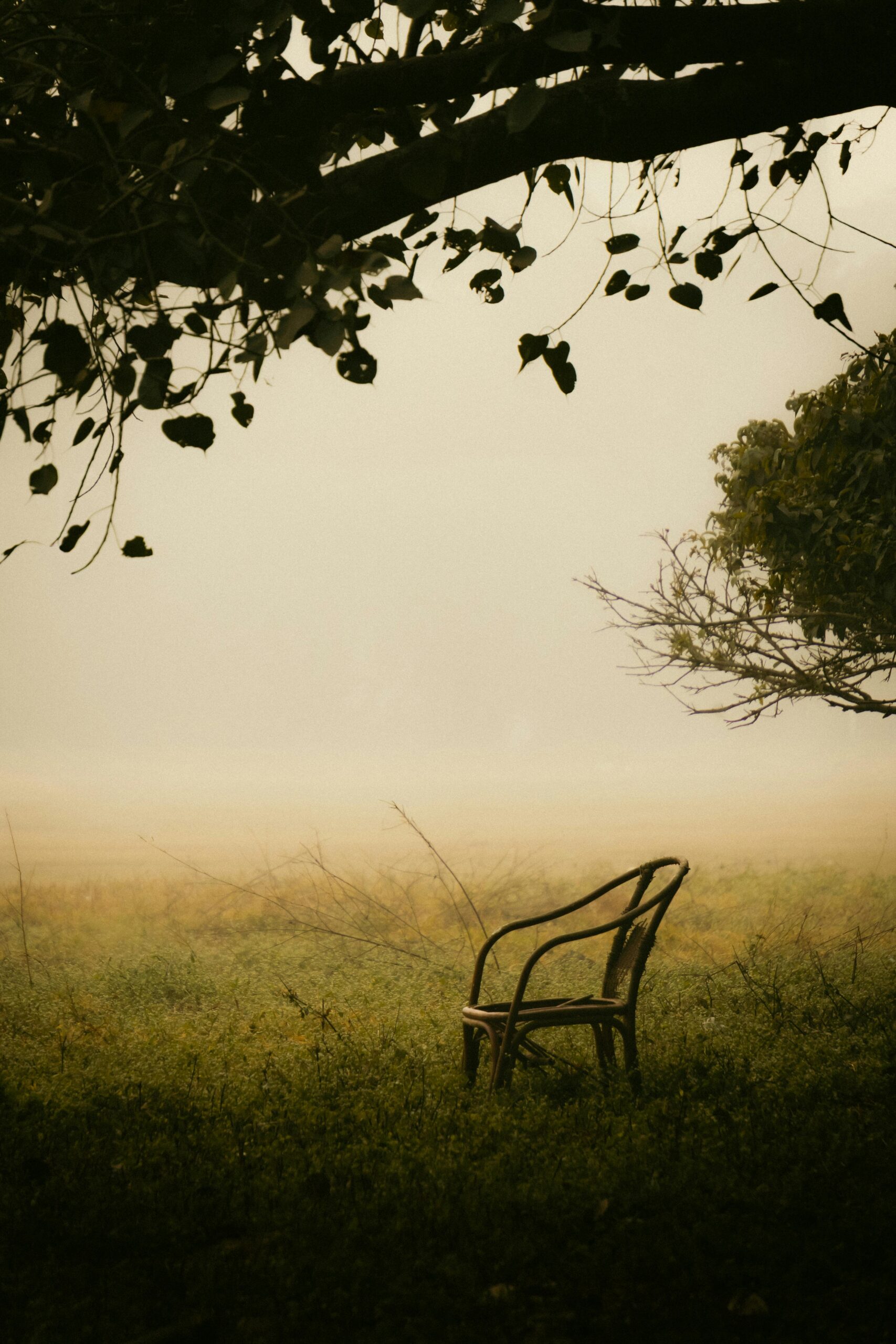 Organic Cretan Products